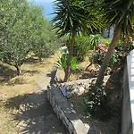 Kallisto 4*