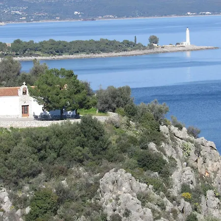 Kallisto