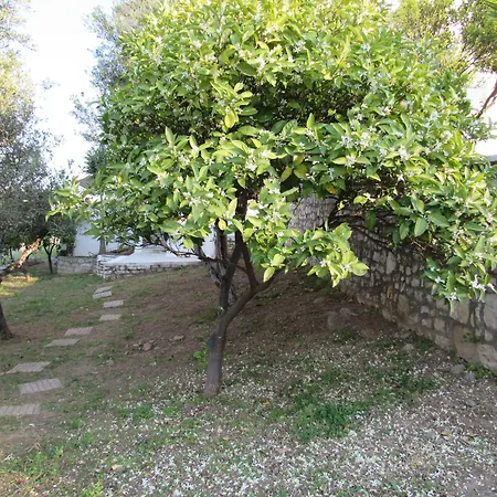 Kallisto Aparthotel 4*