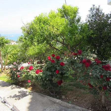 Apartmanhotel Kallisto Gíthio