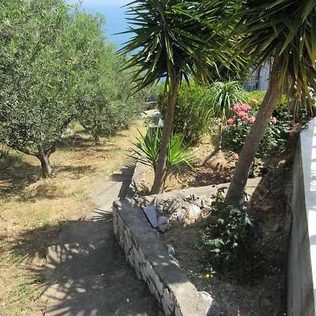 Kallisto 4*