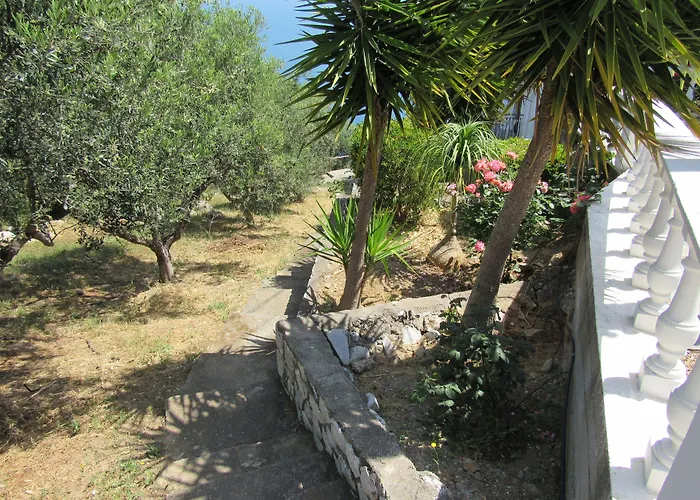 Kallisto 4*